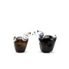 Memorie Line Hond Bruin duo staand UO7Bs