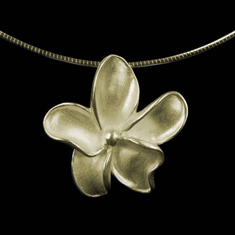 Spang Omega - Ketting | Goudkleurig