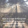 Troostgeschenk gedicht 2 bosachtergrond