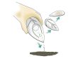 Biologisch afbreekbare urn - Beyond Life