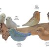 Keramiek Vogel - diversen