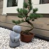 Jizo beeldje – grijs | sterrenkind
