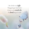 Vlinder van Liefde - Beige vierkant
