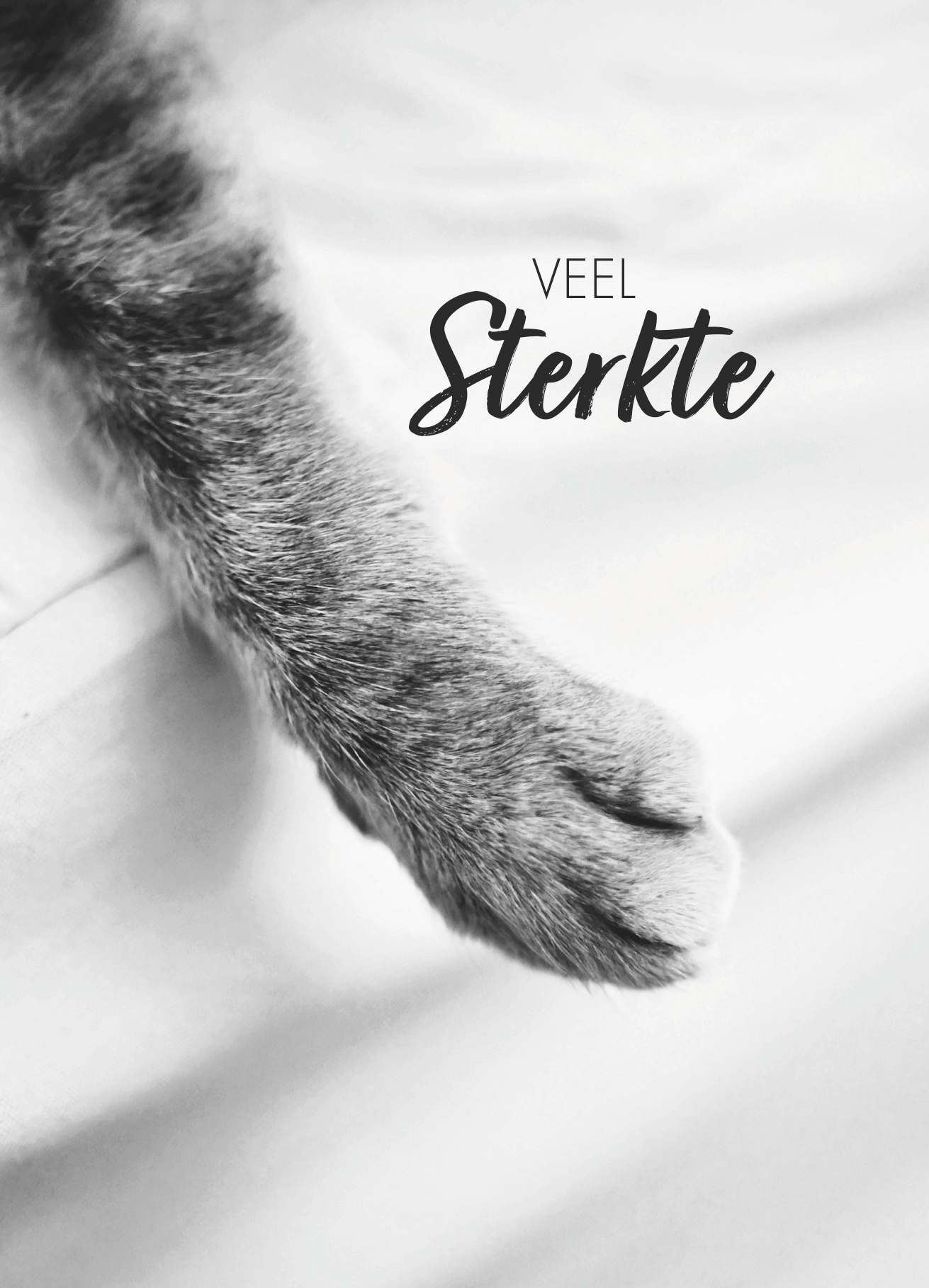 Troostcadeau huisdier – Gedenkaltaar | Hond | Kat | Konijn