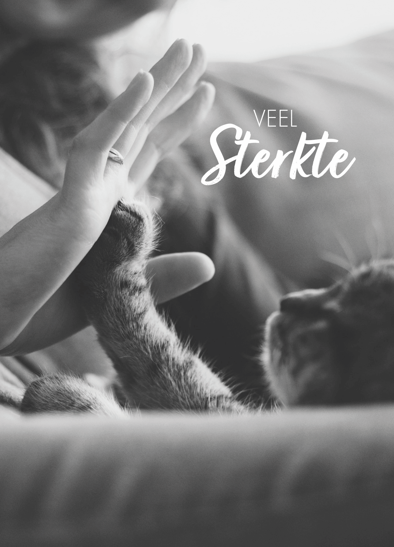 Troostcadeau huisdier – Gedenkaltaar | Hond | Kat | Konijn