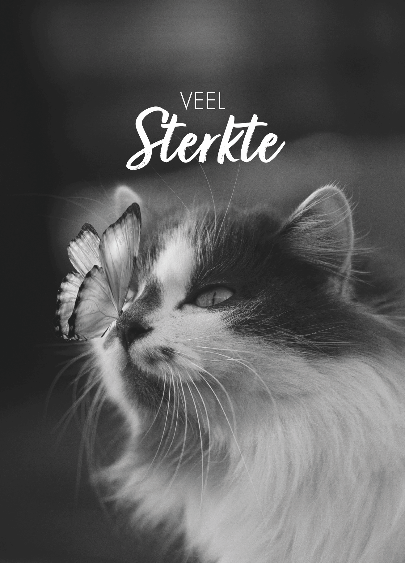 Troostcadeau huisdier – Gedenkaltaar | Hond | Kat | Konijn