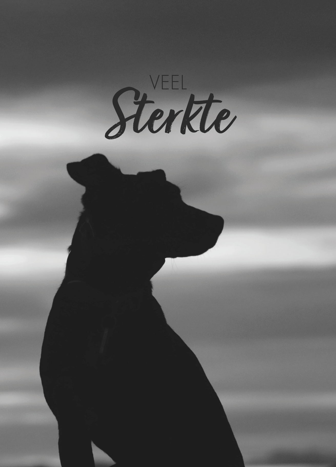 Troostcadeau huisdier – Gedenkaltaar | Hond | Kat | Konijn